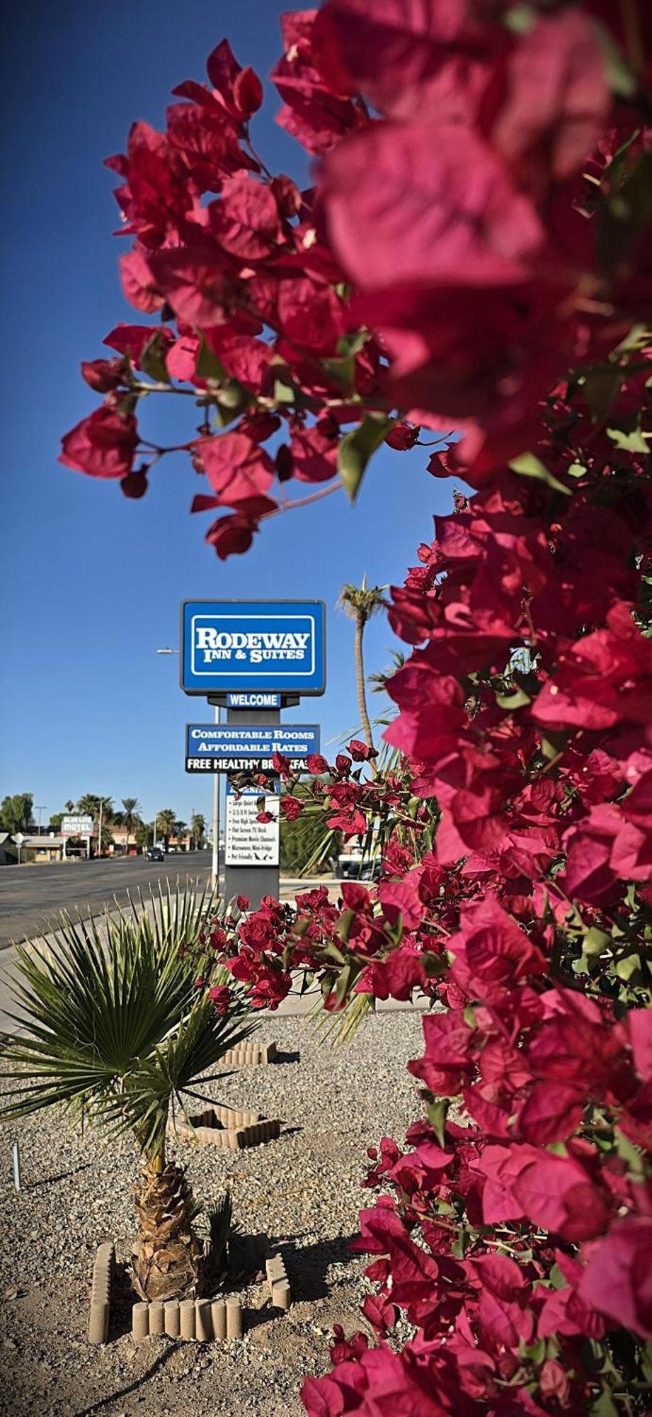Rodeway Inn & Suites Blythe I-10 エクステリア 写真